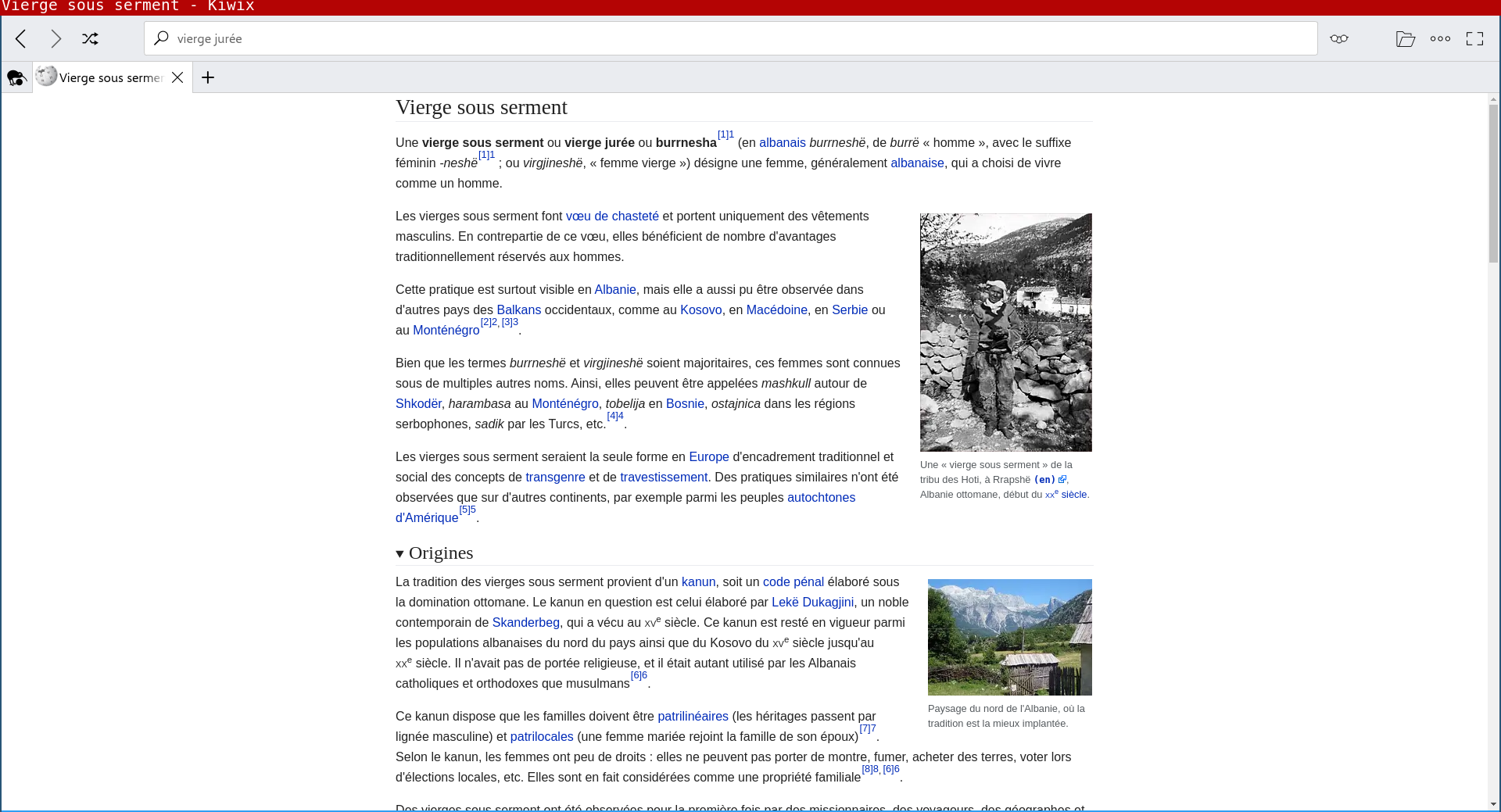 Capture d'écran d'une page wikipédia rendue dans le logiciel kiwix.